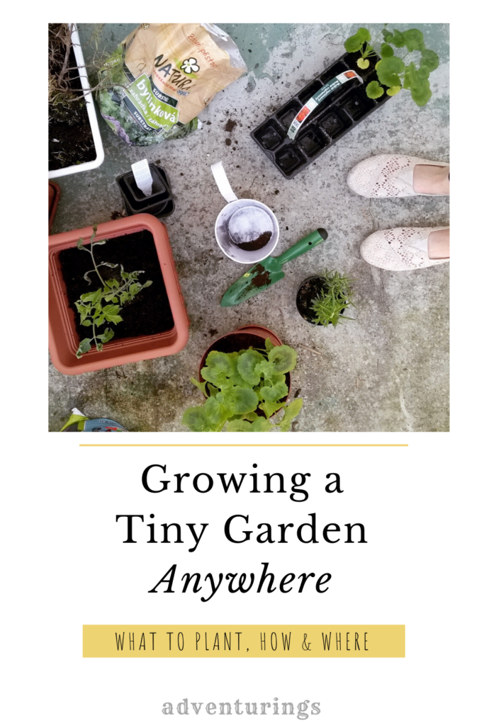 Growing a Tiny Garden Anywhere – Adventurings